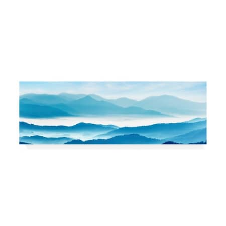 James Mcloughlin 'Misty Mountains Xi' Canvas Art,8x24